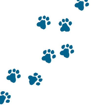 Doogo（ドゥーゴー） ペット送迎 & サロン予約 東京都 港区 渋谷区 世田谷区 新宿区